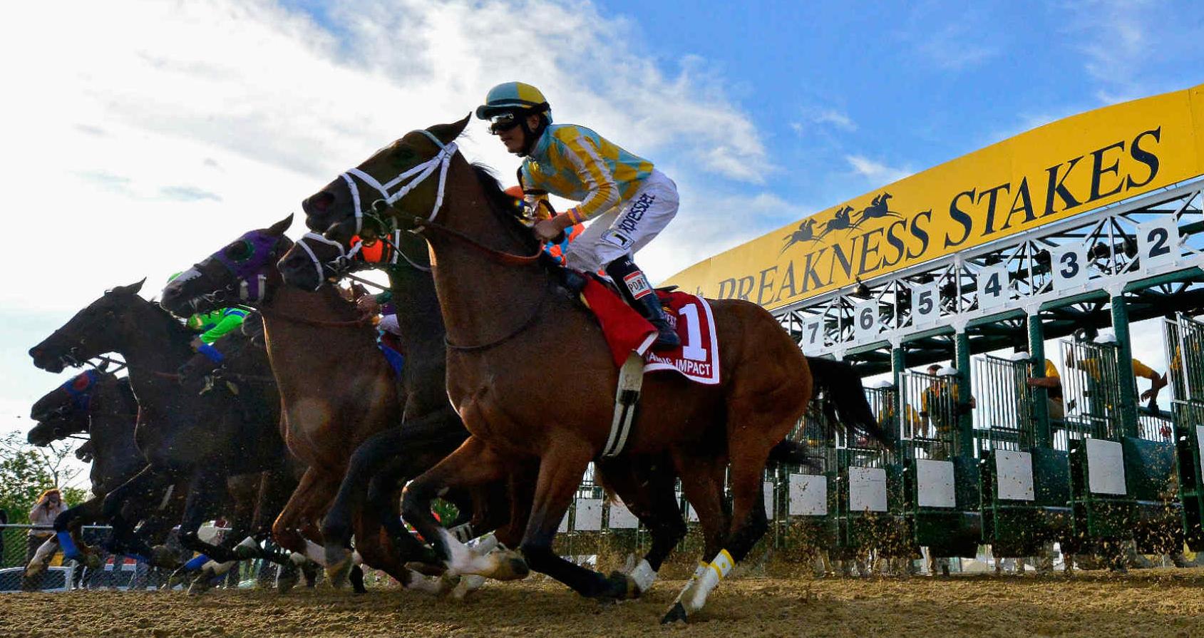 Pimlico Race Course Picks- Preakness Stakes