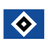 HSV
