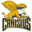 Golden Griffins