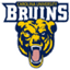 Bruins