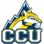 Cougars
