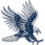 Blue Hawks