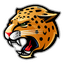 Jaguars