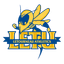Yellow Jackets