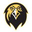 Falcons