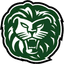 Lions