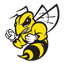 Yellow Jackets