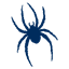 Spiders