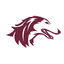 Salukis