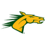 Broncos