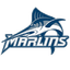 Blue Marlins