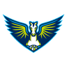Dallas Wings logo