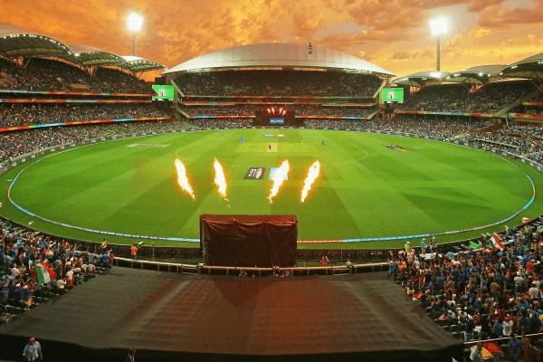 Cricket Swarming the Country