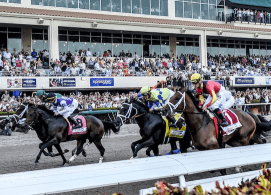 Gulfstream Park Picks: 2019 Florida Derby Analysis