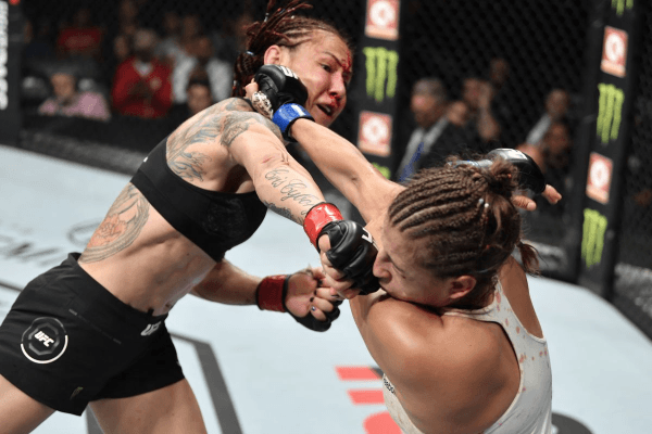 UFC 240: Favorites Versus Underdogs