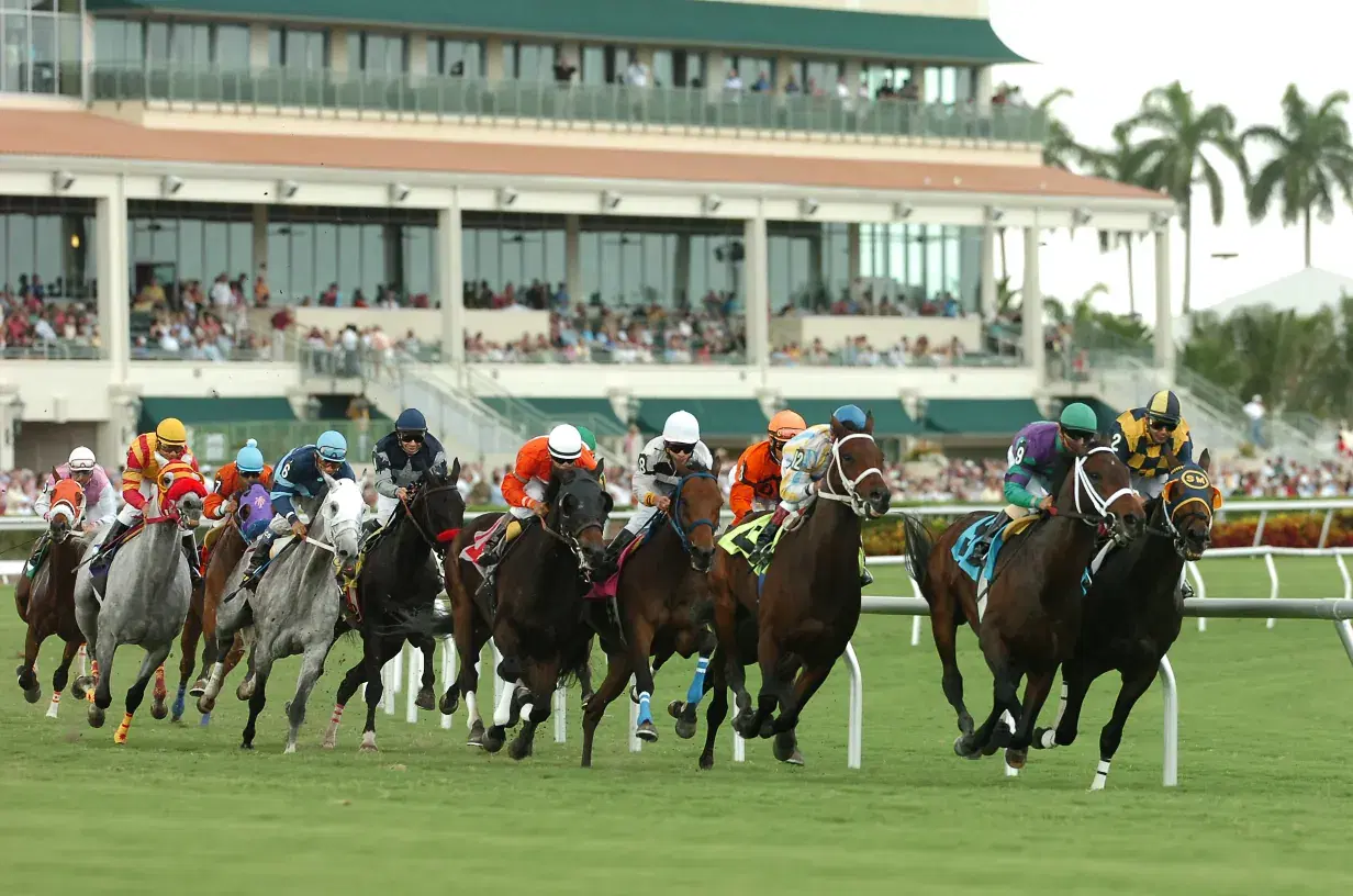 Gulfstream Park September 9 – Race 4 Analysis, Picks & Best Bets