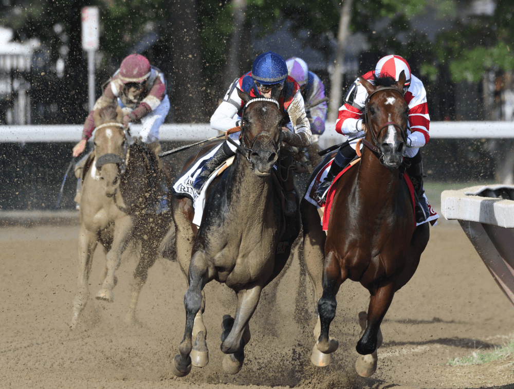 Saratoga Racing August 17 – Race 2 Analysis, Picks & Best Bets