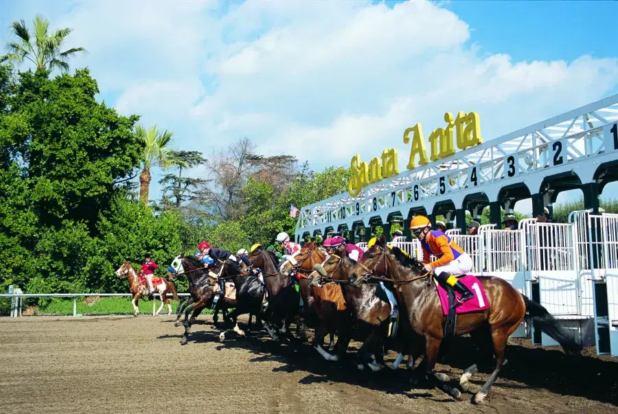 Santa Anita Picks: 5 Stakes Saturday