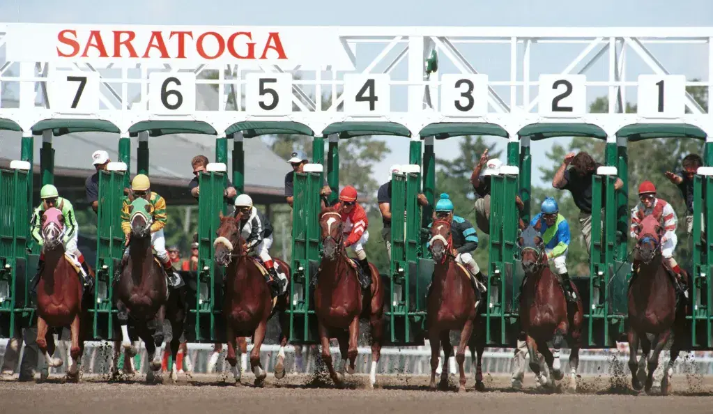Saratoga Picks- 2024 Adirondack Stakes