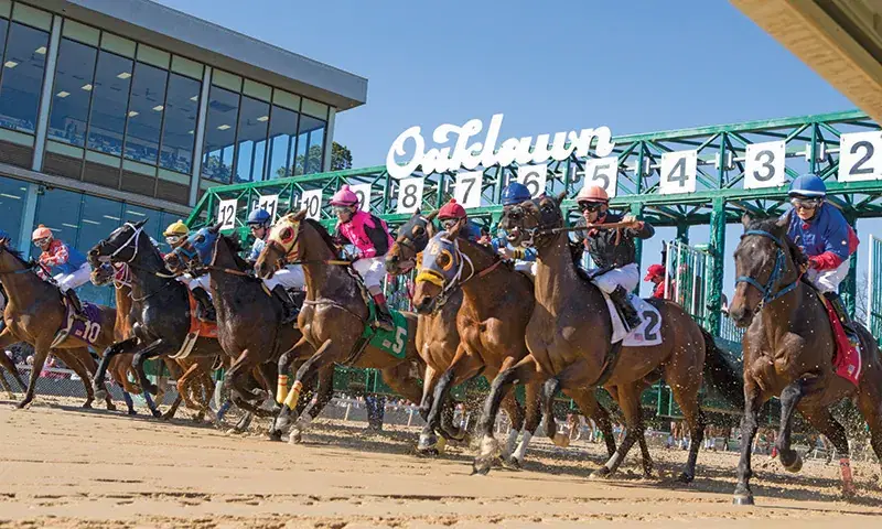 Oaklawn Park Picks- Poinsettia Analysis: Saturday, December 30