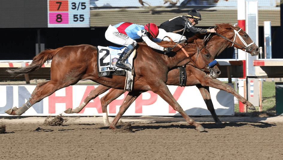 Pennsylvania Derby Draws Star Studded Field to Parx cover