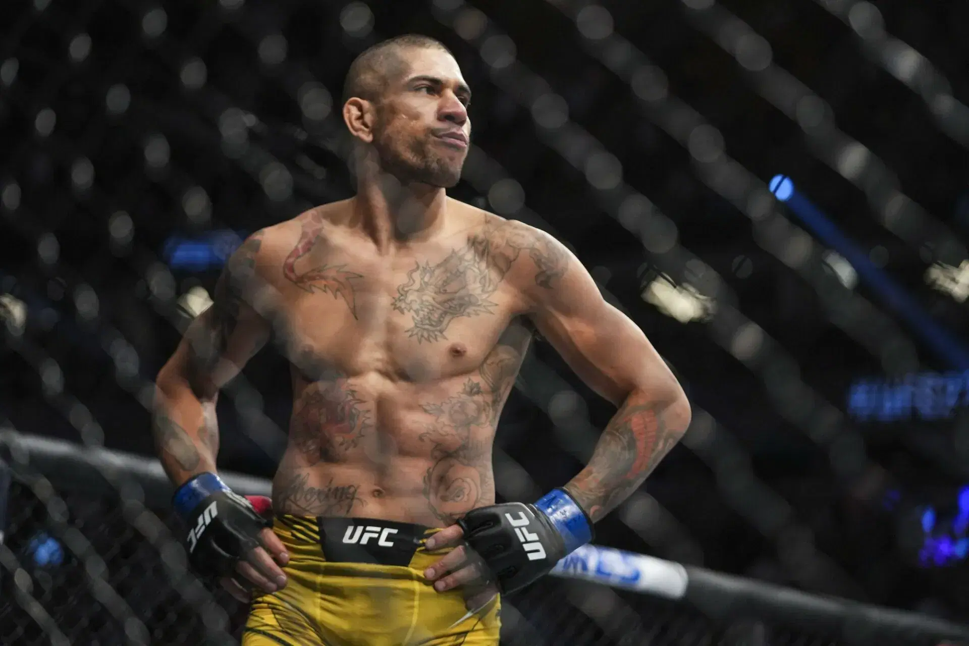 UFC 303: Alex Pereira vs Jiri Prochazka 2 Fight Prediction, Odds & Best Bets