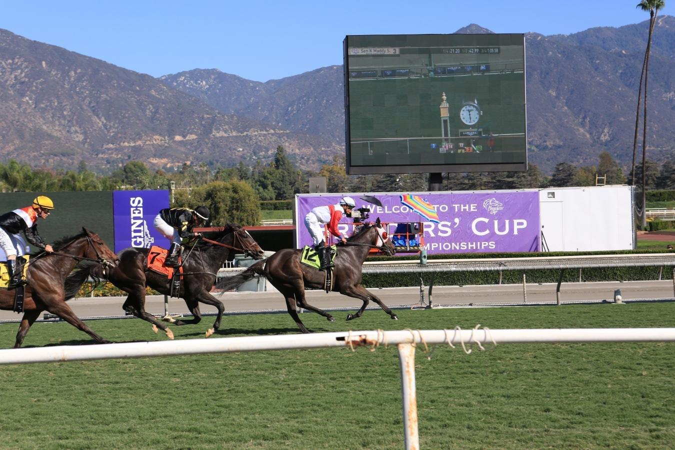 Breeders’ Cup Future Stars Friday Dirt Preview: November 3, 2023 cover
