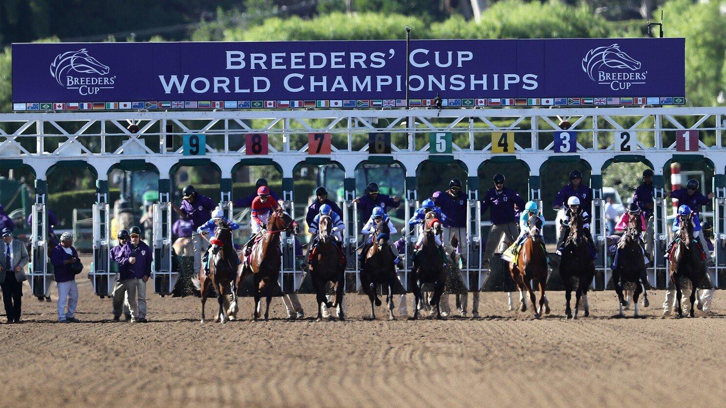 Breeders Cup starting gate
