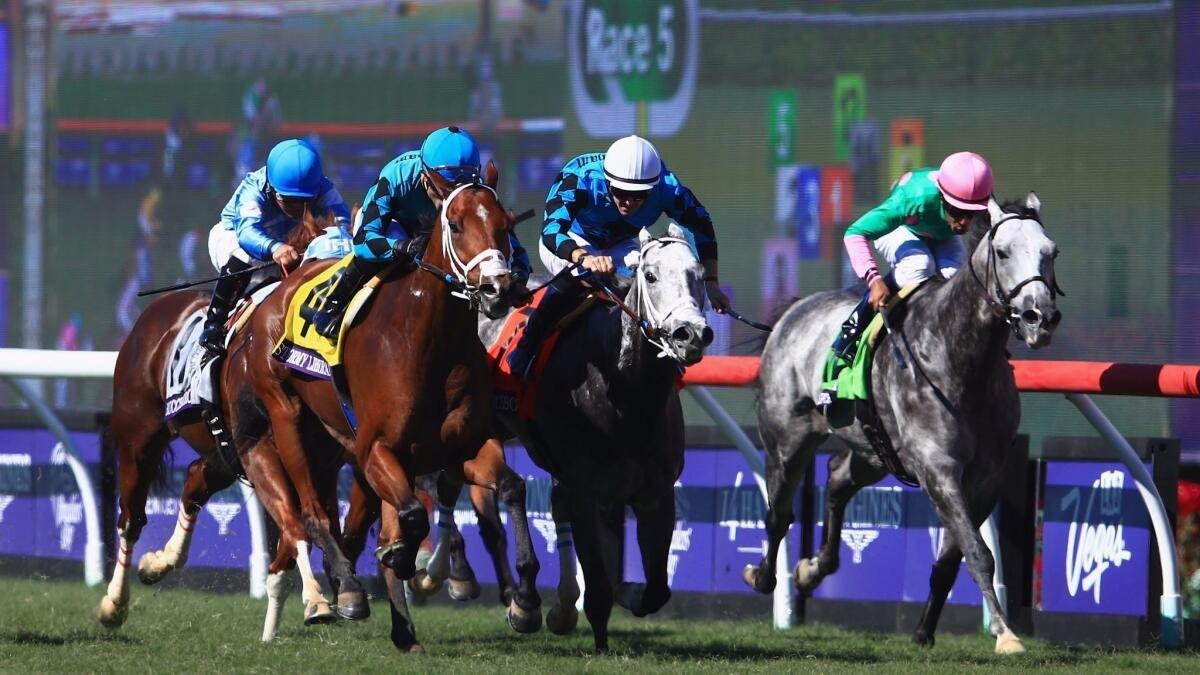 Breeders’ Cup Championship Saturday Turf Preview: November 4, 2023 cover