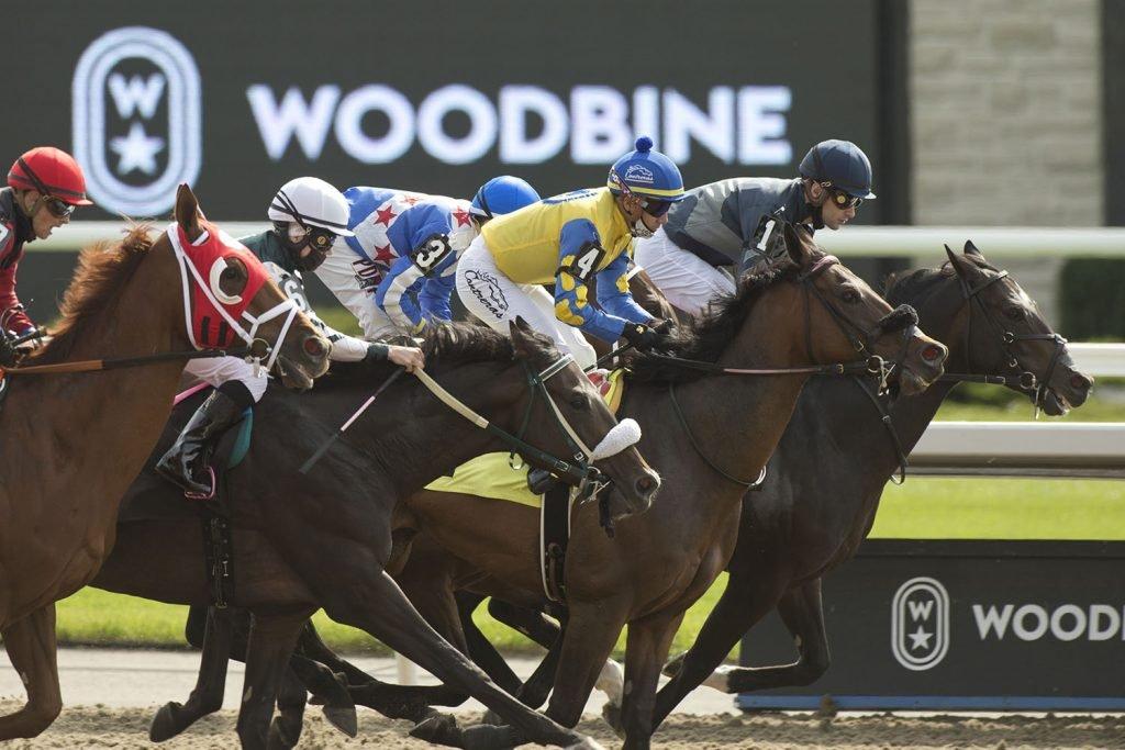 Horses cross the finish line on the Woodbine synthetic