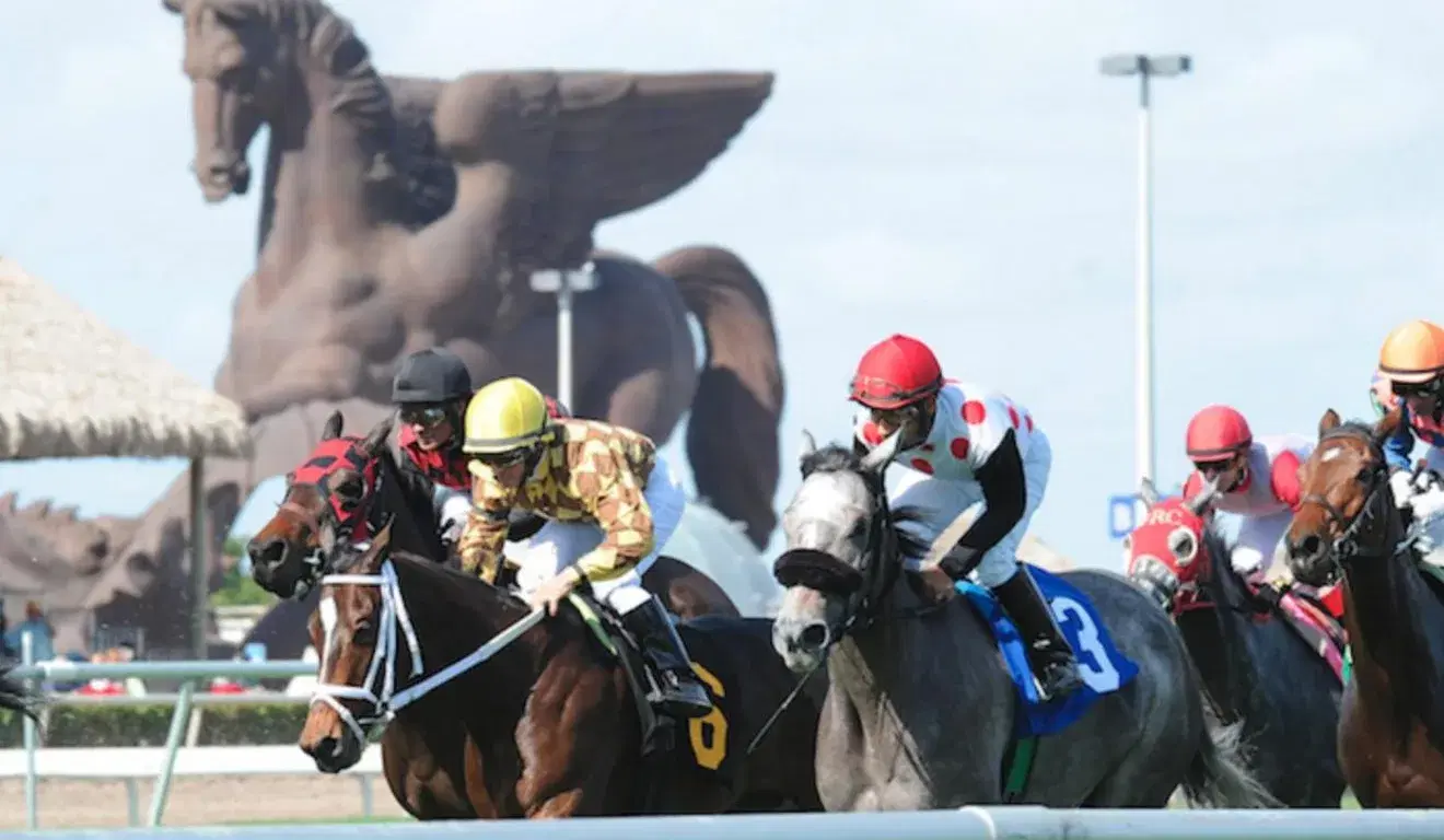2024 Pegasus World Cup Betting Guide Betting News