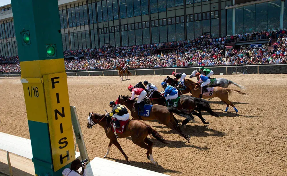 Oaklawn Park Picks- 2025 Azeri Stakes (3/8/2025)