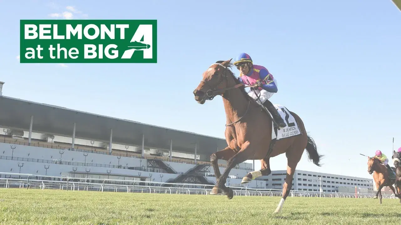 Belmont at the Big A Picks: Friday Pilgrim Stakes (10/03/2025)
