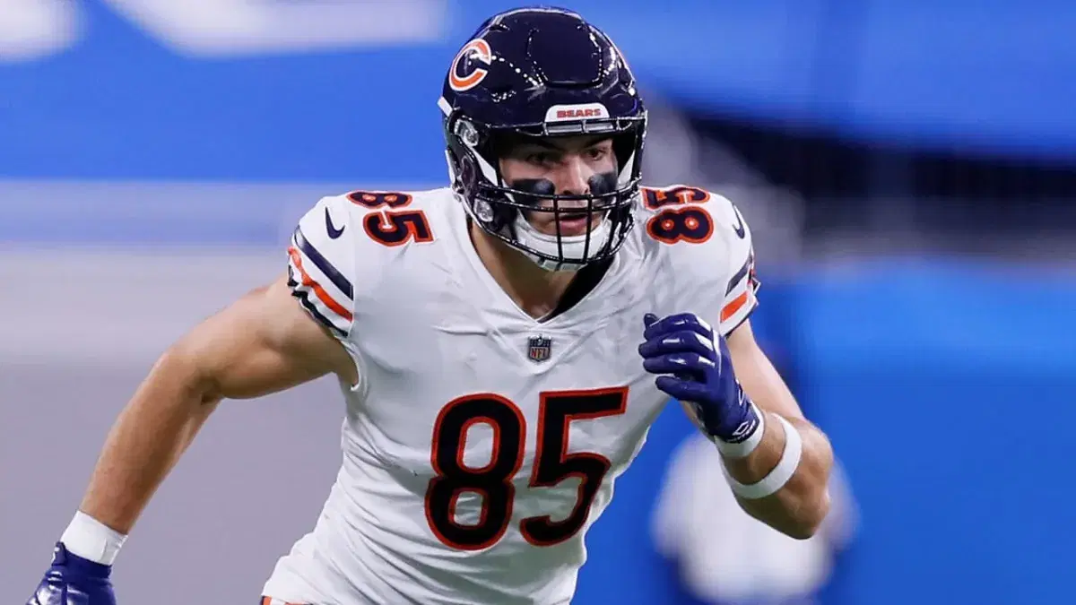 Chicago Bears vs Minnesota Vikings: NFL Predictions, Odds & Best Bets (12/16)
