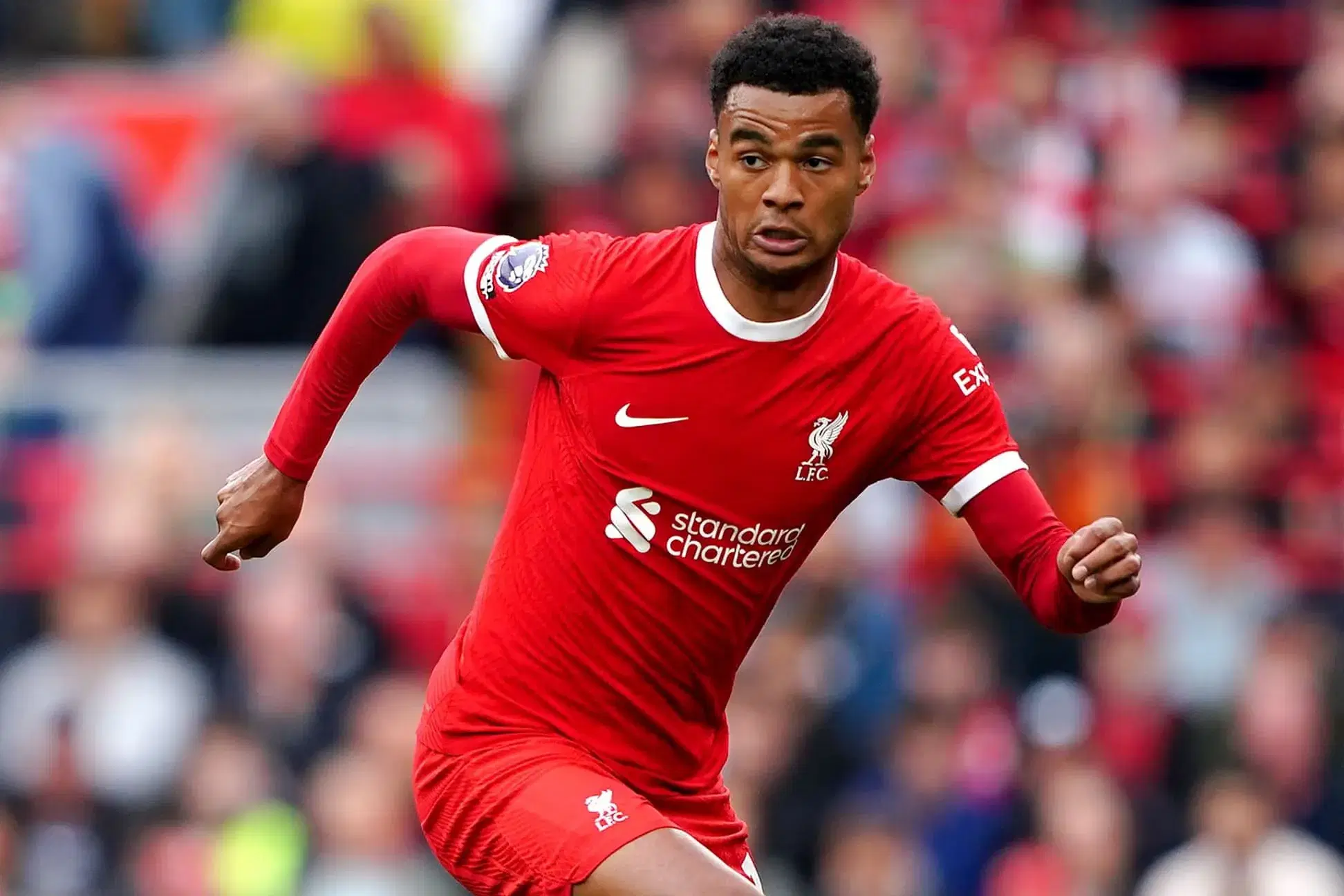 Newcastle United vs. Liverpool Picks and Predictions (8/25): Monday EPL for Our Enjoyment