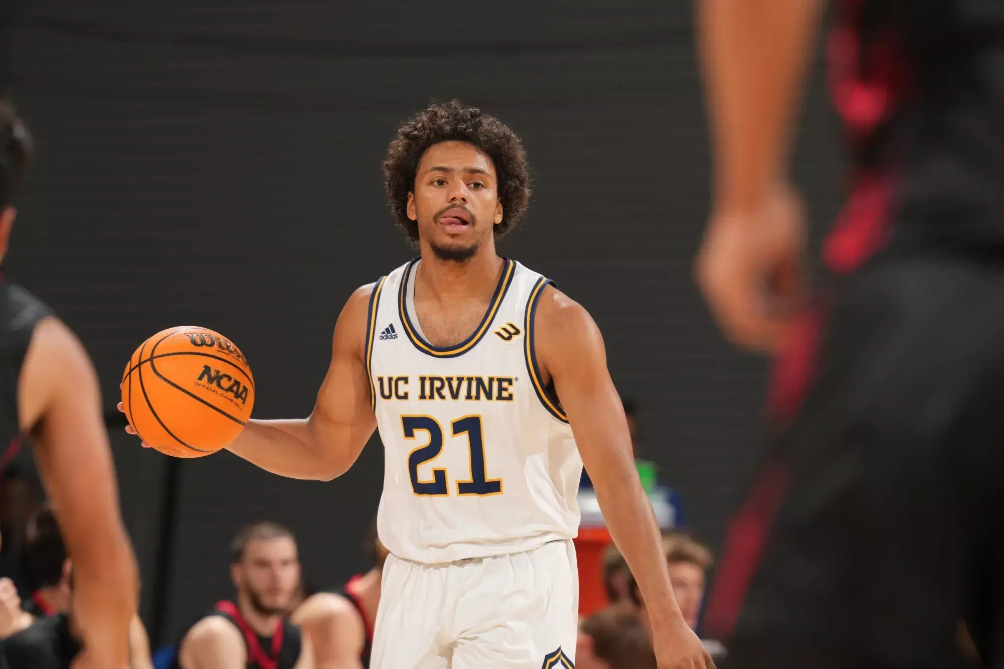 Kennesaw State vs UC Irvine: Odds, Predictions & Key Insights | November 28, 2024