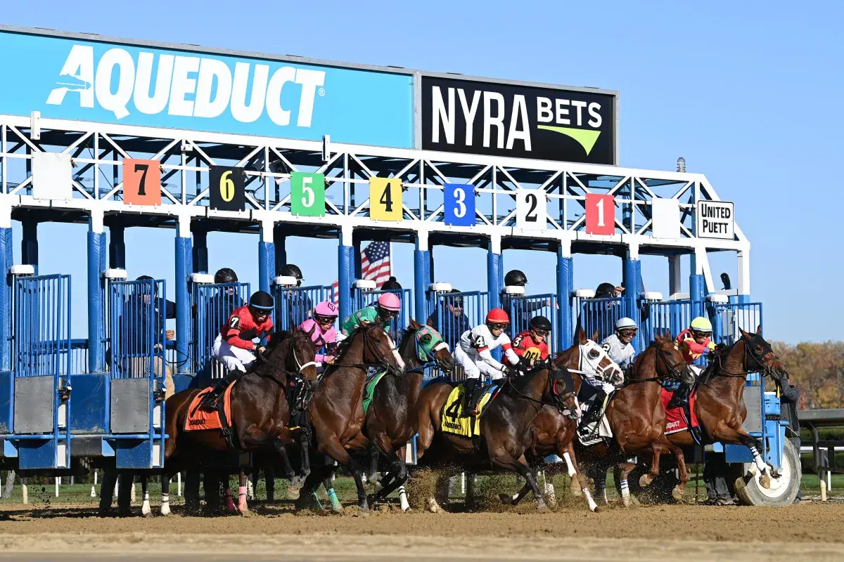 Belmont at the Big A Picks: Beldame Stakes (09/26/2025)