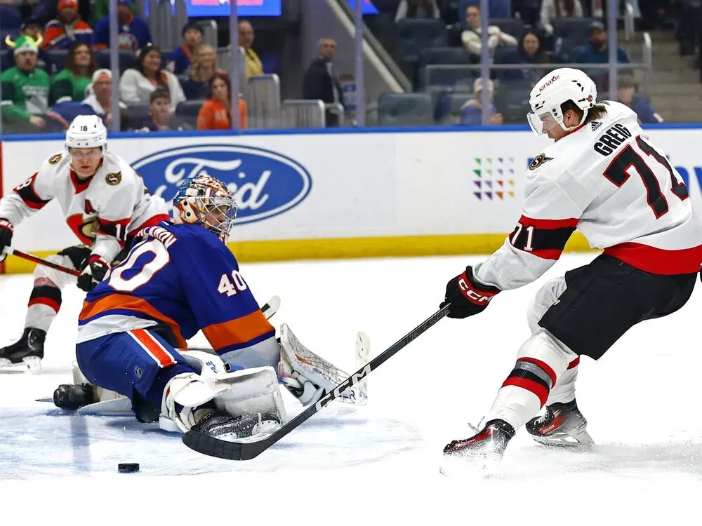 NHL Senators vs Islanders Picks and Odds | January 14. 2025