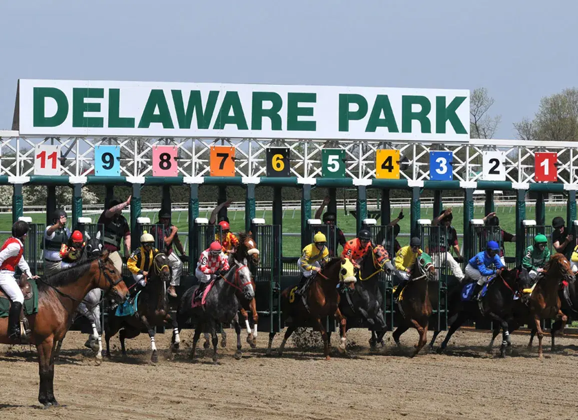 Delaware Park Picks: Delaware Oaks (06/14/2025)