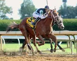Saratoga Picks: Grade 2 Suburban Stakes (07/04/2025)