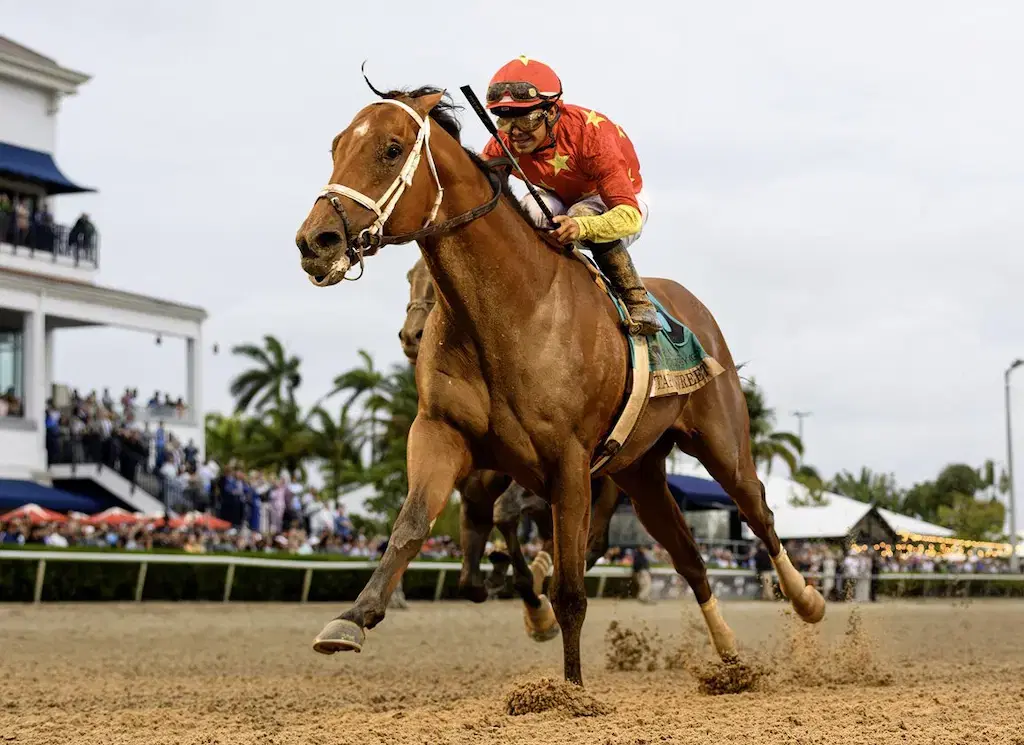 Florida HB 881 Aims to Separate Horse Racing from Gambling