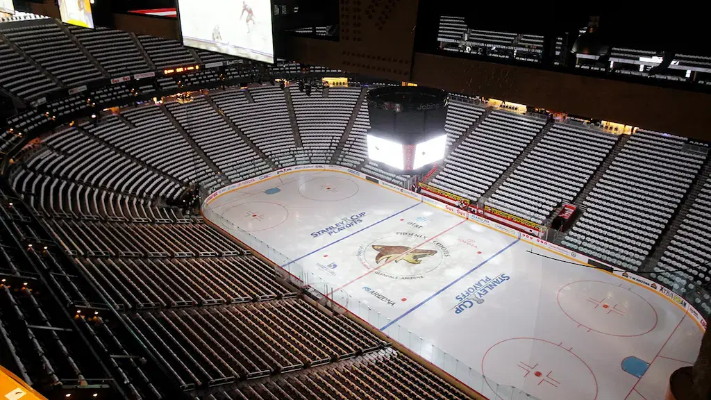 Arizona Coyotes