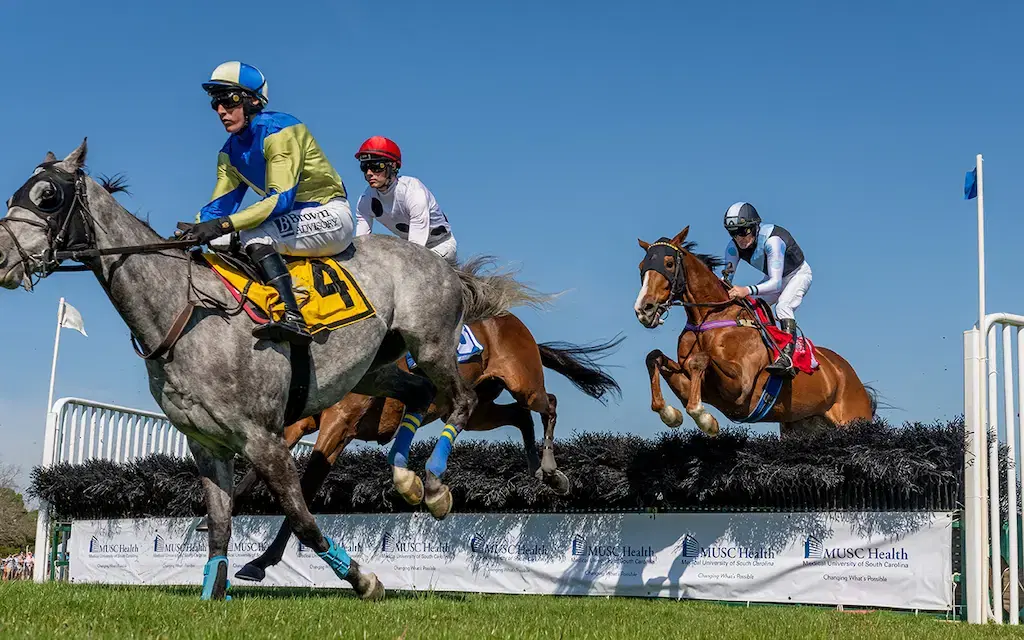 South Carolina Advances Equine Advancement Act