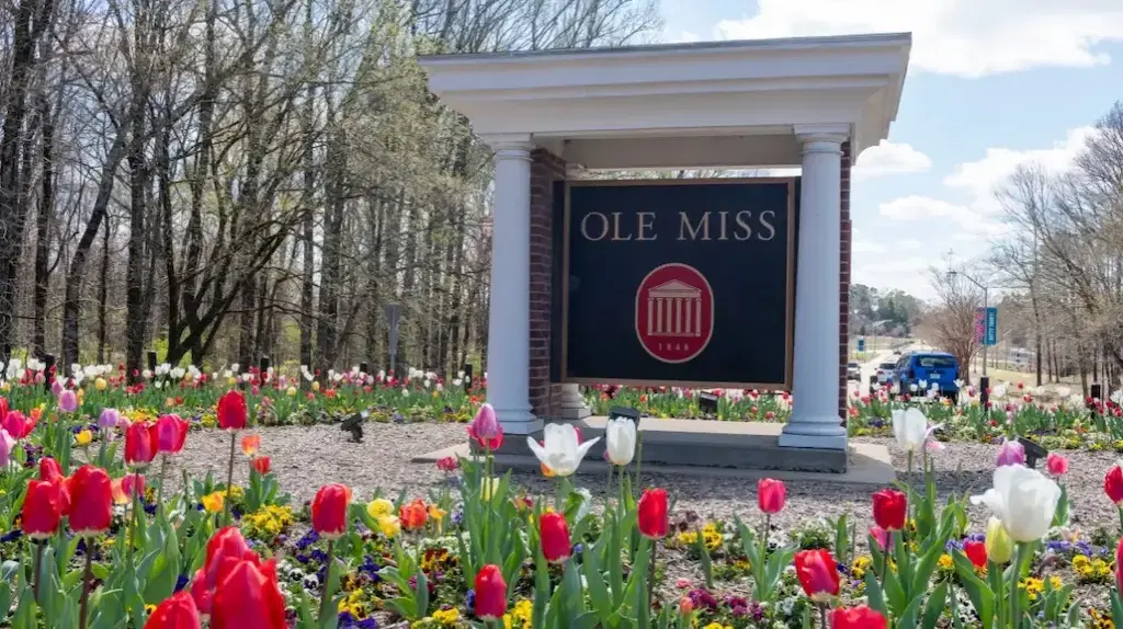 Ole Miss Launches Centre on Collegiate Gambling