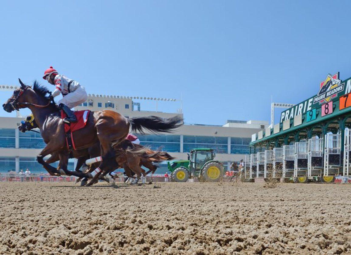 prairie meadows