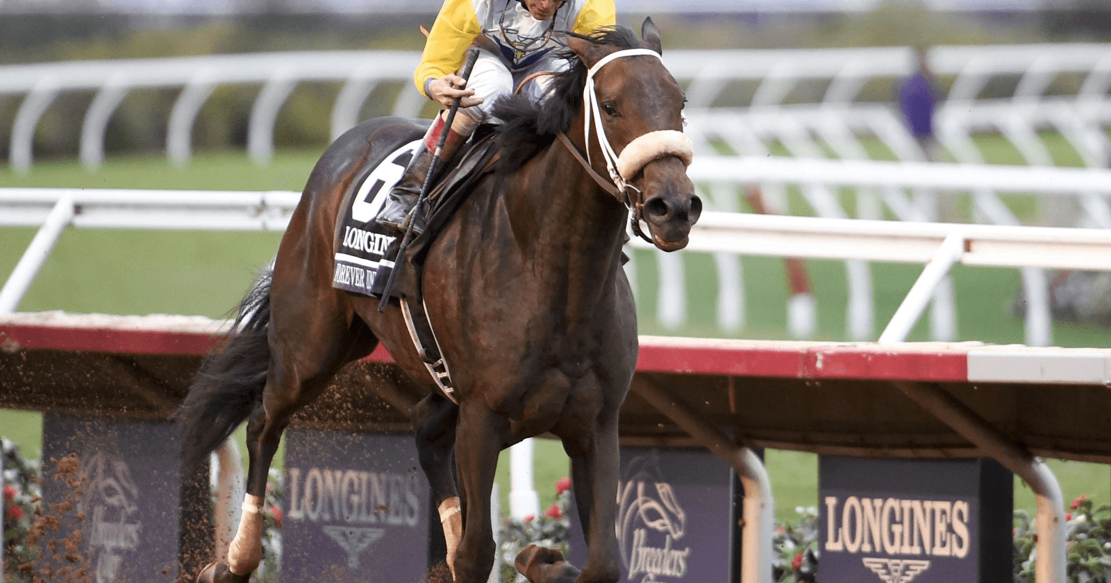 2018 Breeders’ Cup Distaff at Churchill Downs, picks and analysis
