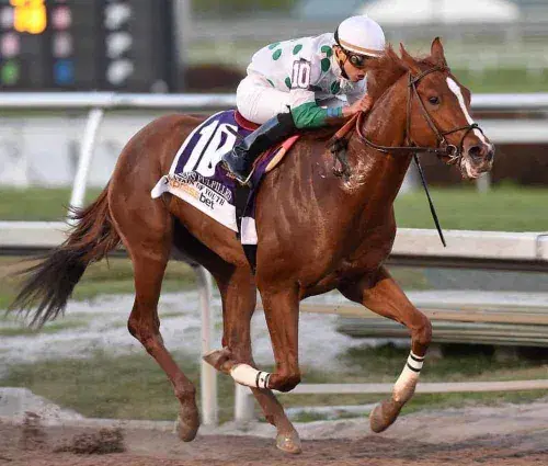 Gulfstream Park Betting: 2019 Fountain of Youth Picks