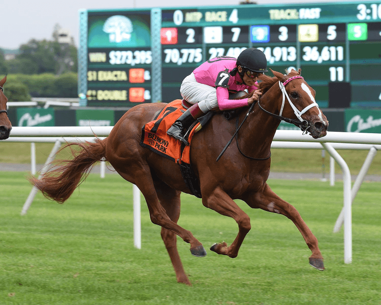 Betting at Belmont Park: Pebbles Stakes picks and analysis
