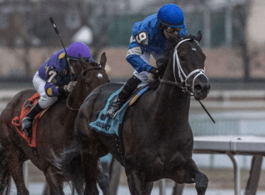 Gotham Stakes 2019 at Aqueduct, picks and analysis