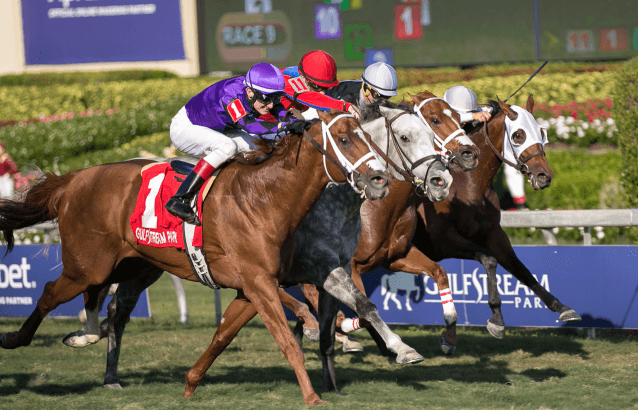 Today’s Gulfstream Park Picks: Race 11, September 15